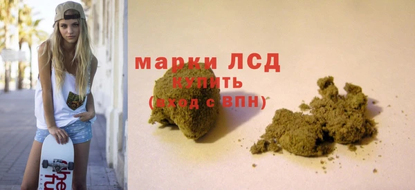 гидра Заводоуковск