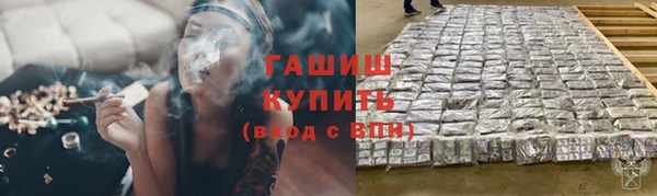 прущие грибы Заволжск
