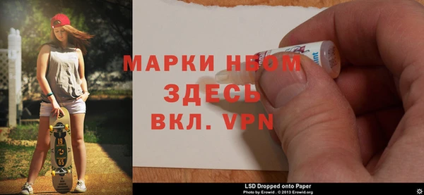 прущие грибы Заволжск