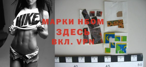 гидра Заводоуковск