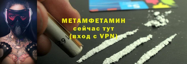 прущие грибы Заволжск