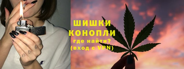 гидра Заводоуковск