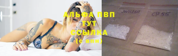 прущие грибы Заволжск