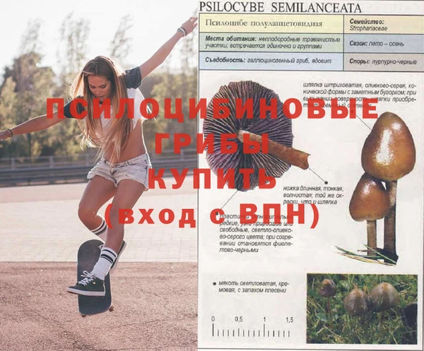 ALPHA-PVP Заволжье