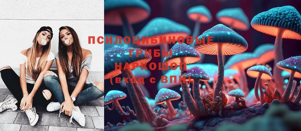 прущие грибы Заволжск