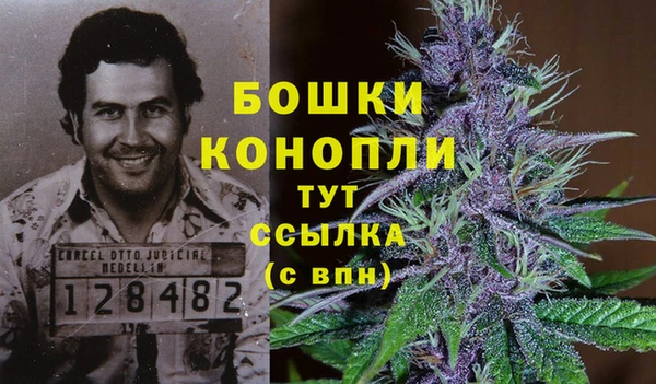 гидра Заводоуковск