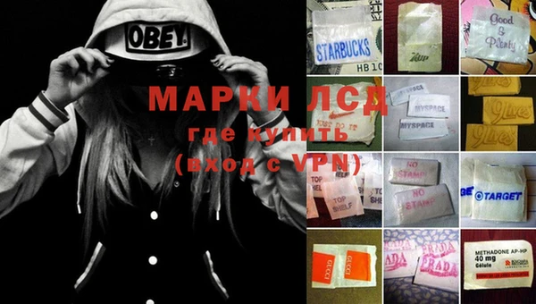 гидра Заводоуковск