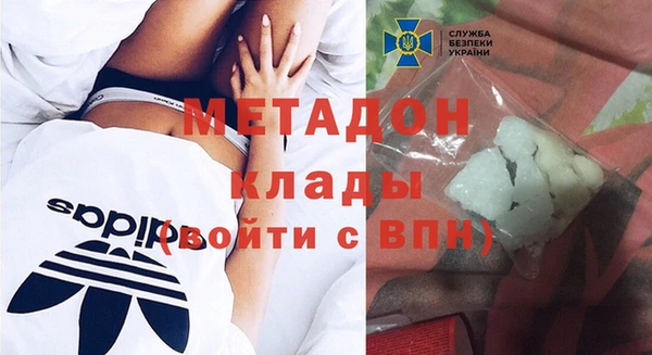 прущие грибы Заволжск