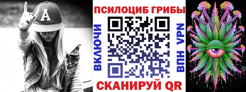 купить   Саяногорск  МЕГА ссылки  Псилоцибиновые грибы Psilocybine cubensis 