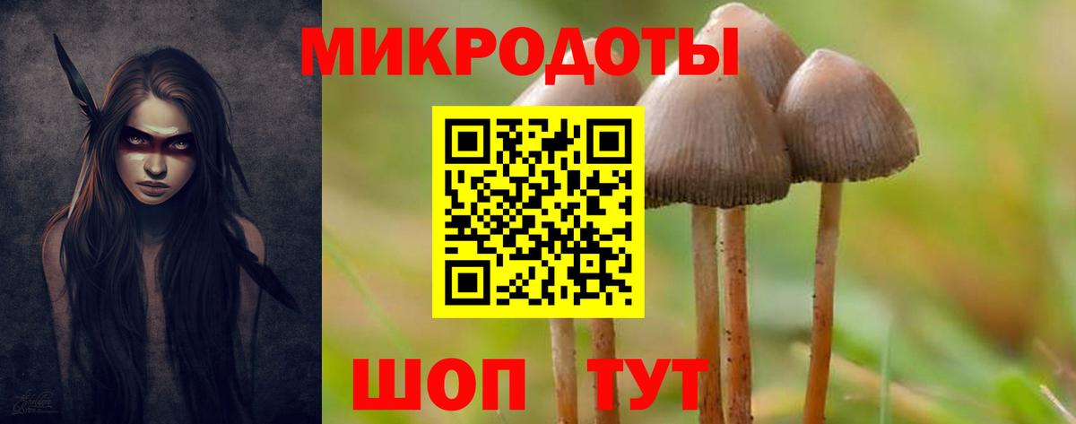 Псилоцибиновые грибы Cubensis  Вход с VPN  Саяногорск 